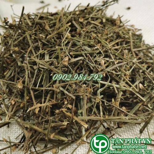 Công Ty Bán Bán Chi Liên Khô Tại TP HCM?