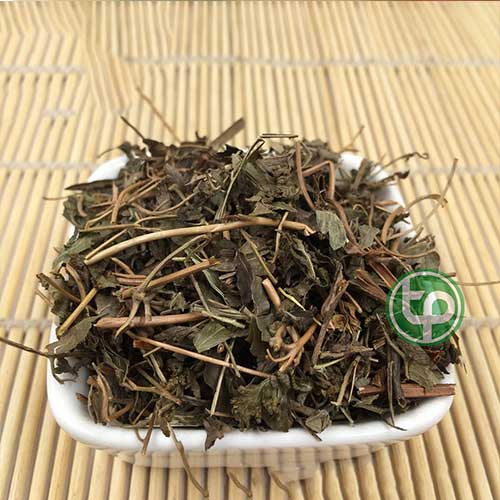 Công ty Bán Cây Bòng Bong Khô Tại TP HCM?