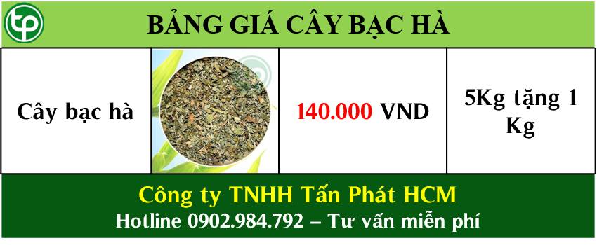 Bảng giá bán cây bạ hà tại tphcm Bảng giá bán cây bạ hà tại tphcm