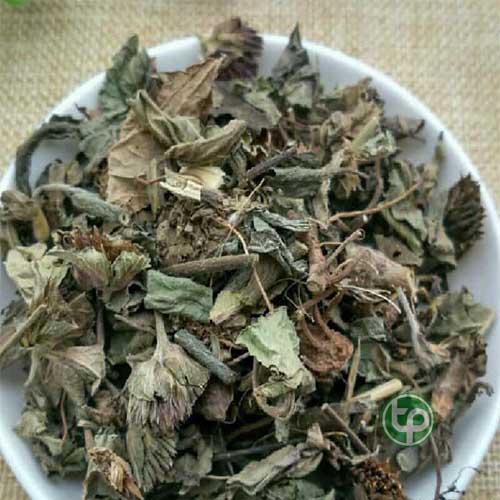 Công ty Bán Cỏ Chỉ Thiên Tại TP HCM? Công ty Bán Cỏ Chỉ Thiên Tại TP HCM?