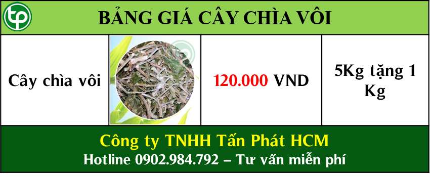 phân phối sỉ lẻ cây chìa vôi tại tphcm