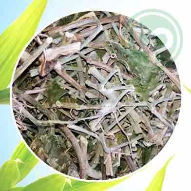 Mua Bán Sỉ Và Lẻ Cây chìa vôi tại tphcm
