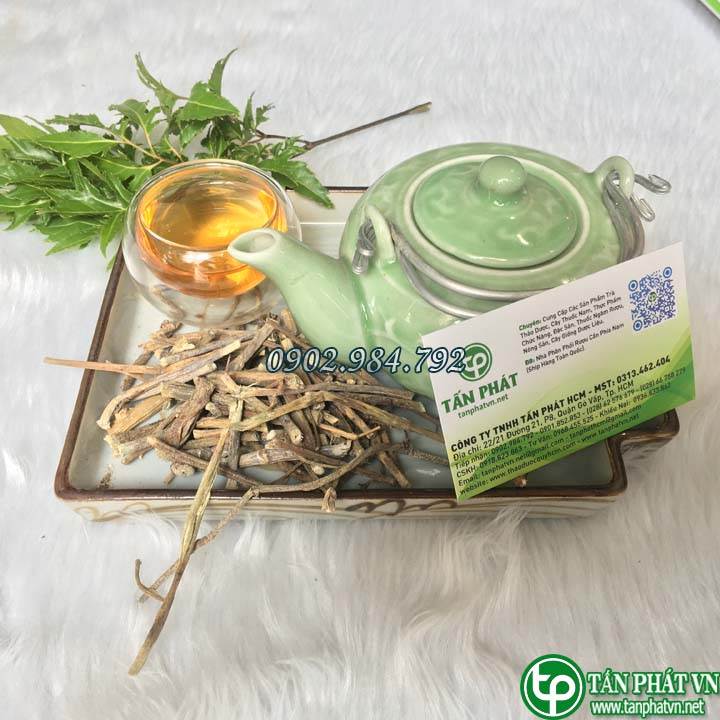 phân phối Cây chìa vôi tại tphcm