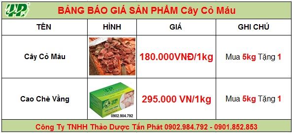 bảng giá cây cỏ máu tại tphcm