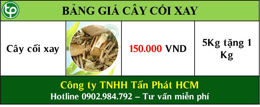 bảng giá Cây cối xay tại tphcm