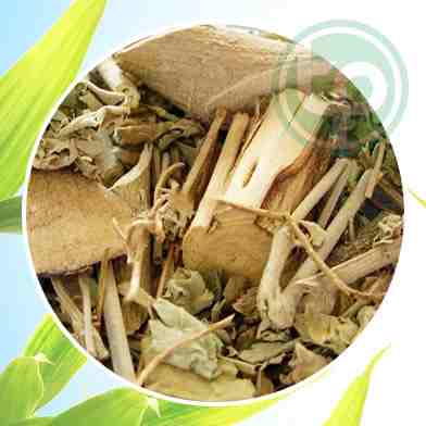Mua Bán  Cây cối xay tại tphcm