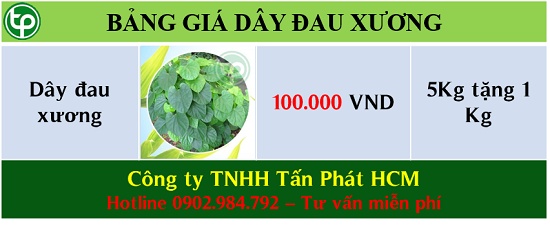Bảng giá cây Đau Xương tại tphcm