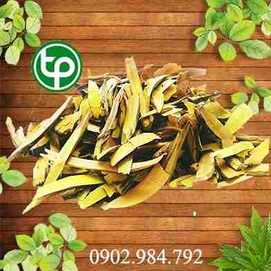 Mua Bán  Cây mật gấu nam (cây lá đắng) tại tphcm