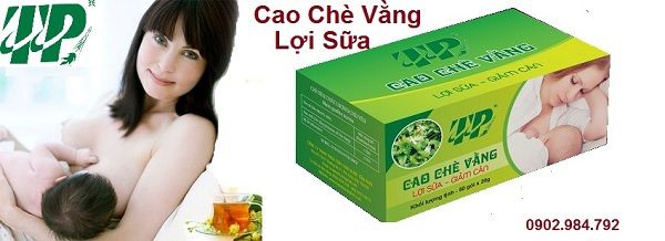 Phân phối sỉ lẻ chè vằng tại Tiền Giang tăng cường