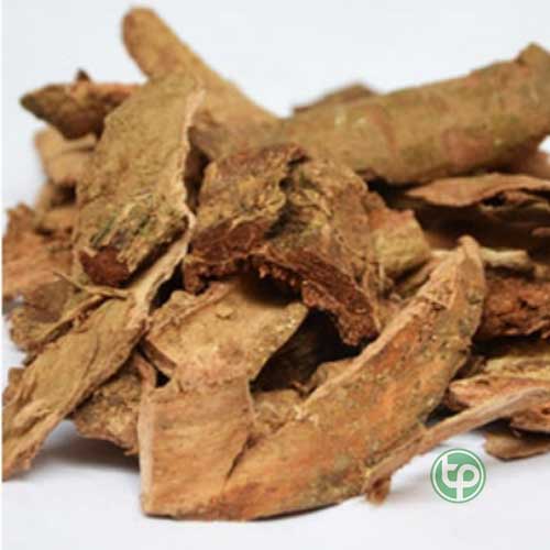 Địa Chỉ Mua Bán Địa Du Tại TPHCM