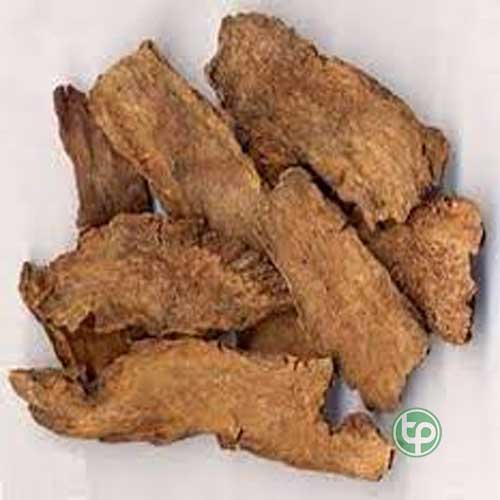 Địa Chỉ Mua Bán Địa Du Tại HCM Ở Đâu?
