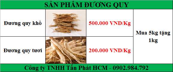 bảng giá Đương quy tại tphcm
