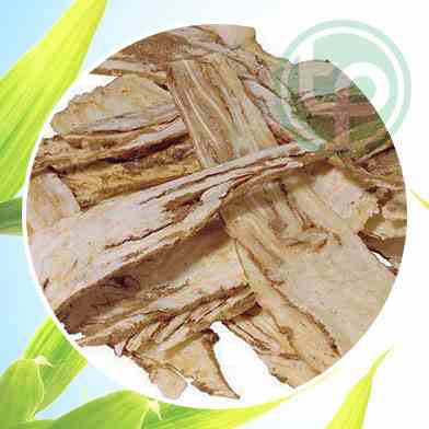 Mua Bán  Đương quy tại tphcm
