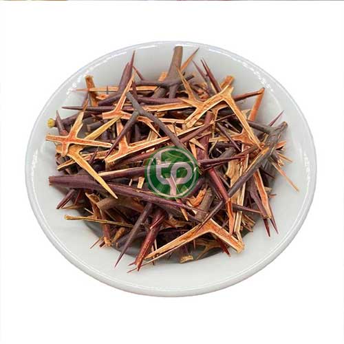 Địa Chỉ Mua Bán Gai Bồ Kết Tại TPHCM