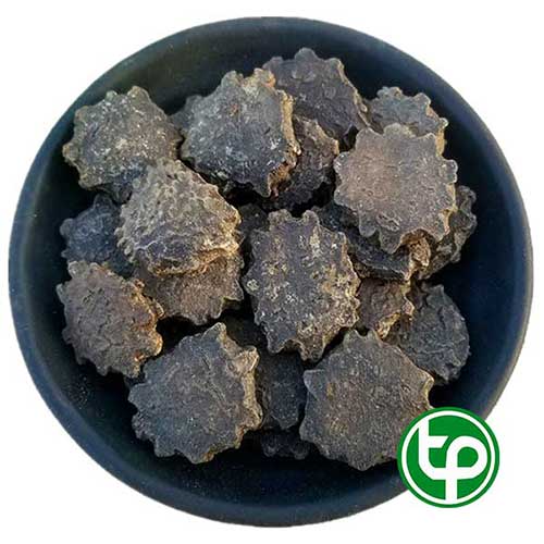 Công ty Bán Hạt Gấc Tại TP HCM? Công ty Bán Hạt Gấc Tại TP HCM?