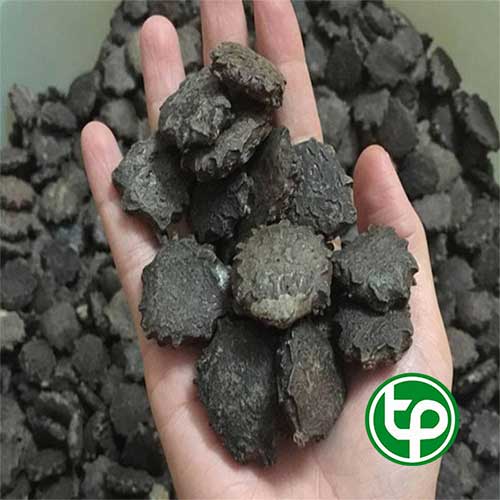 Công ty Bán Hạt Gấc Tại TP HCM? Công ty Bán Hạt Gấc Tại TP HCM?