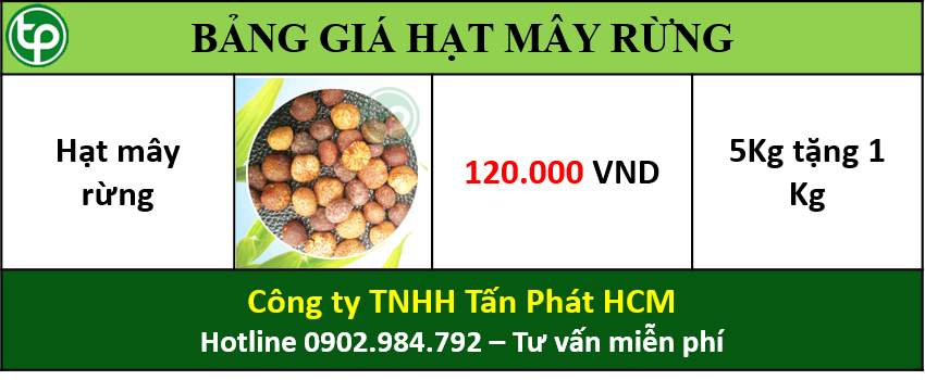 Bảng giá hạt mây rừng tại tphcm