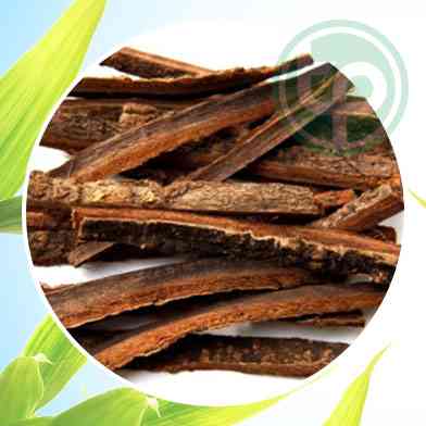 Mua Bán Sỉ Và Lẻ hậu phác tại tphcm Mua Bán Sỉ Và Lẻ hậu phác tại tphcm