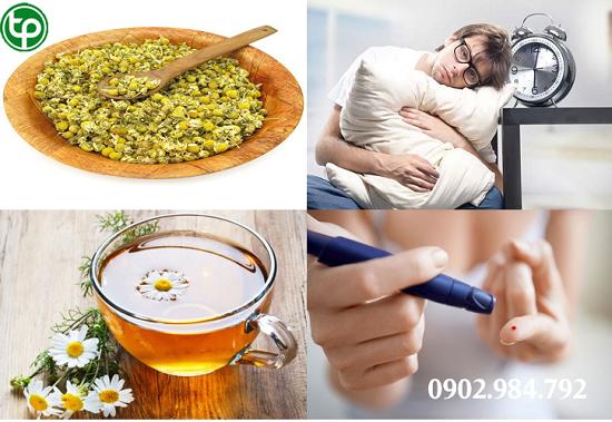 Công Dụng Chữa Bệnh Của Hoa Cúc Khô tại tphcm