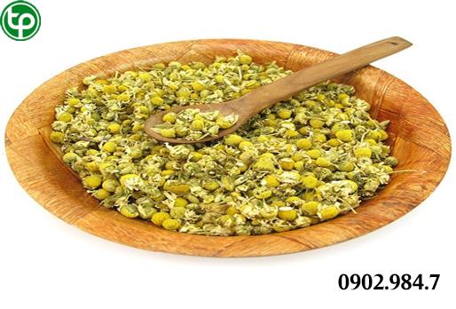 Cách Sử Dụng Hoa Cúc Khô tại tphcm