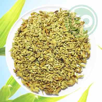 Mua Bán Sỉ Và Lẻ Cây hoa hòe tại tphcm