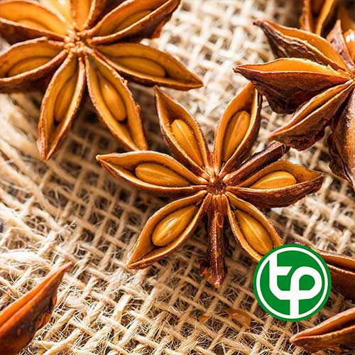 hoa hoi tan phat hcm