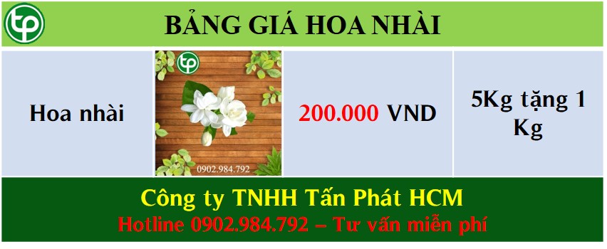 bảng giá bán hoa nhài tại tphcm