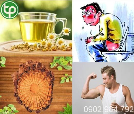 cung cấp Hoàng đằng tại tphcm