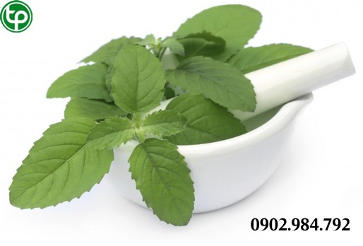 Cách Sử Dụng Hương Nhu tại tphcm