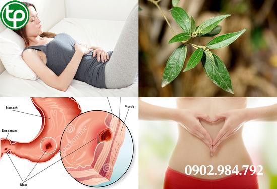 phân phối Khổ sâm tại tphcm