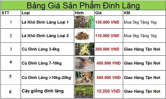 cung cấp đinh lăng tại tphcm