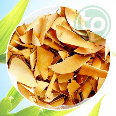 Công Dụng Hay Tác Dụng Của Lá Hồng Rừng tại tphcm