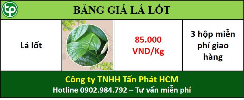 phân phối lá lốt tại tphcm