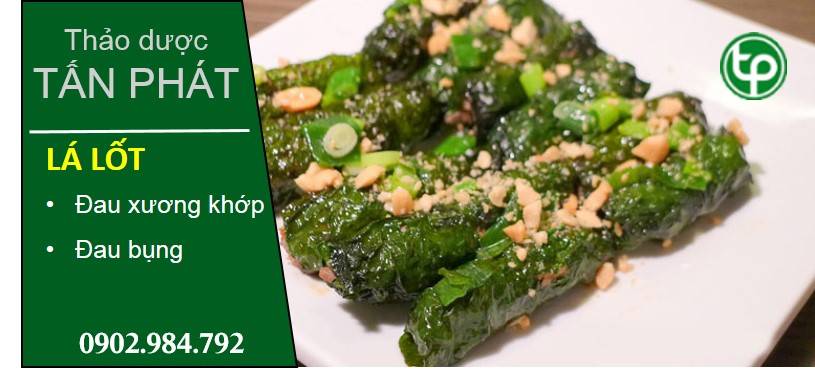 cung cấp lá lốt tại tphcm
