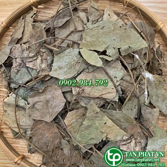 Bán Lá Vông Tại tphcm ở đâu