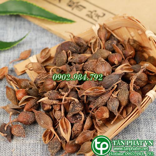 Cách sử dụng liên kiều