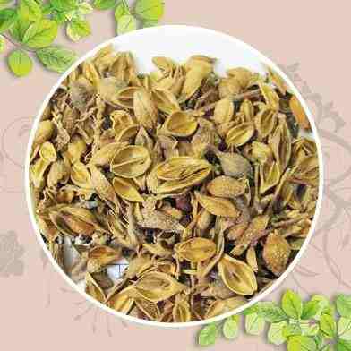 Mua Bán Sỉ Và Lẻ Liên kiều tại tphcm
