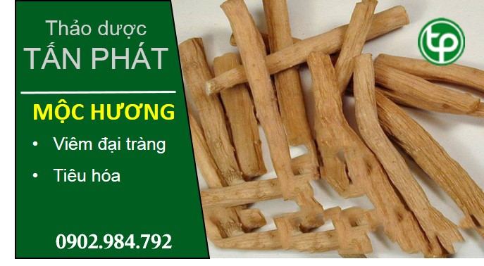 phân phối sỉ lẻ mộc hương tại tphcm phân phối sỉ lẻ mộc hương tại tphcm