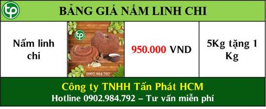 bảng giá Nấm linh chi tại tphcm