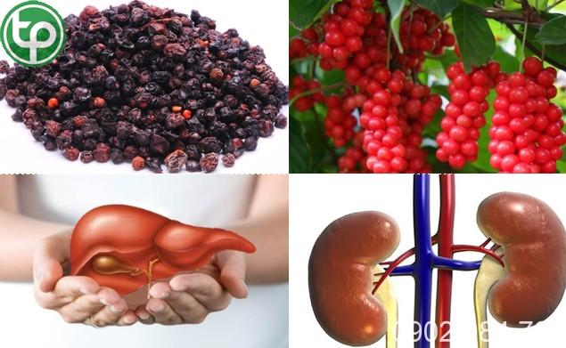 cung cấp Ngũ vị tử tại tphcm