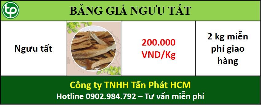phân phối sỉ và lẻ ngưu tất tại tphcm phân phối sỉ và lẻ ngưu tất tại tphcm