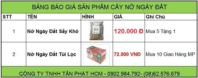 bảng giá cây nở ngày đất tại tphcm