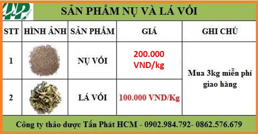 Bảng cung cấp giá cây nụ vối tại tphcm Bảng cung cấp giá cây nụ vối tại tphcm