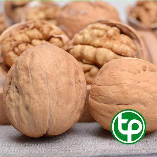 Óc chó tách vỏ