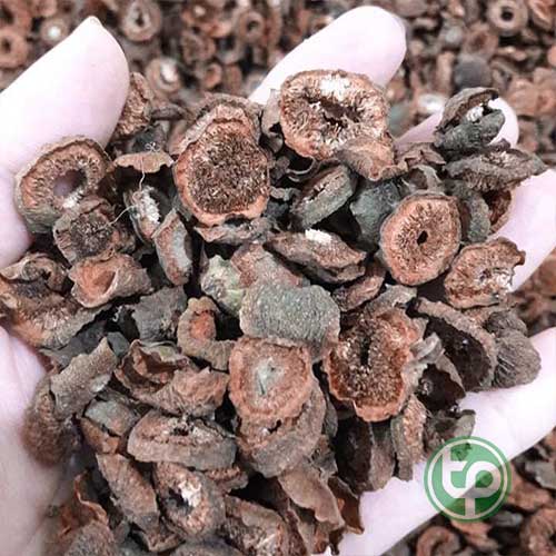 Địa Chỉ Mua Bán Quả Sung Tại HCM