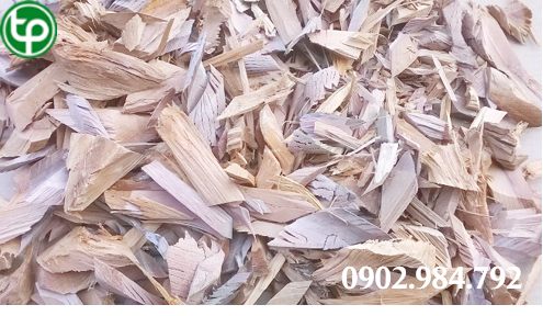 cung cấp Rễ hồng quân tại tphcm