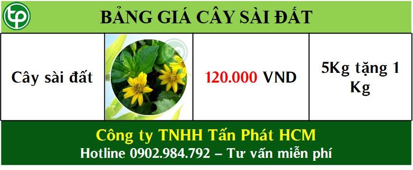 Bảng giá bán cây sài đất tại tphcm