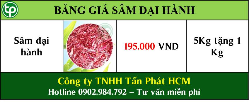 bảng giá Sâm đại hành tại tphcm bảng giá Sâm đại hành tại tphcm