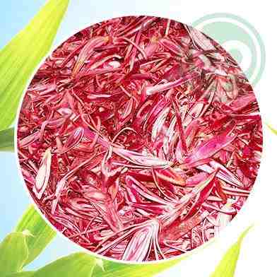 Mua Bán Sâm đại hành tại tphcm Mua Bán Sâm đại hành tại tphcm