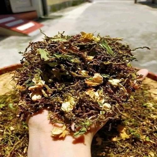 Trà sơn mật hồng sâm 